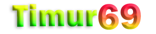 TIMUR69